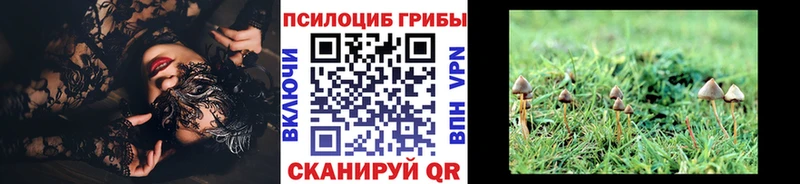 Псилоцибиновые грибы MAGIC MUSHROOMS  Белгород 